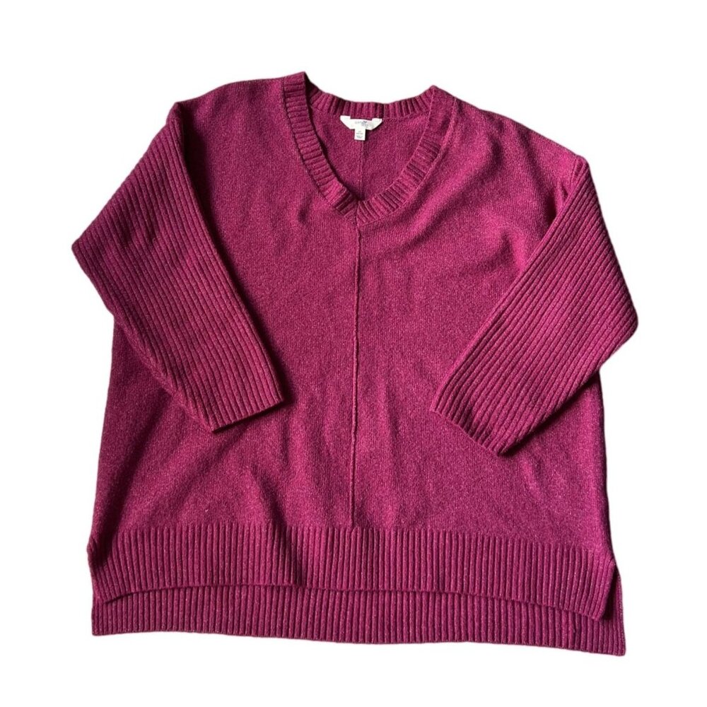 Terra & Sky Womens V-Neck Sweater 2X (20W-22W) Purple Soft Cozy Plus Size